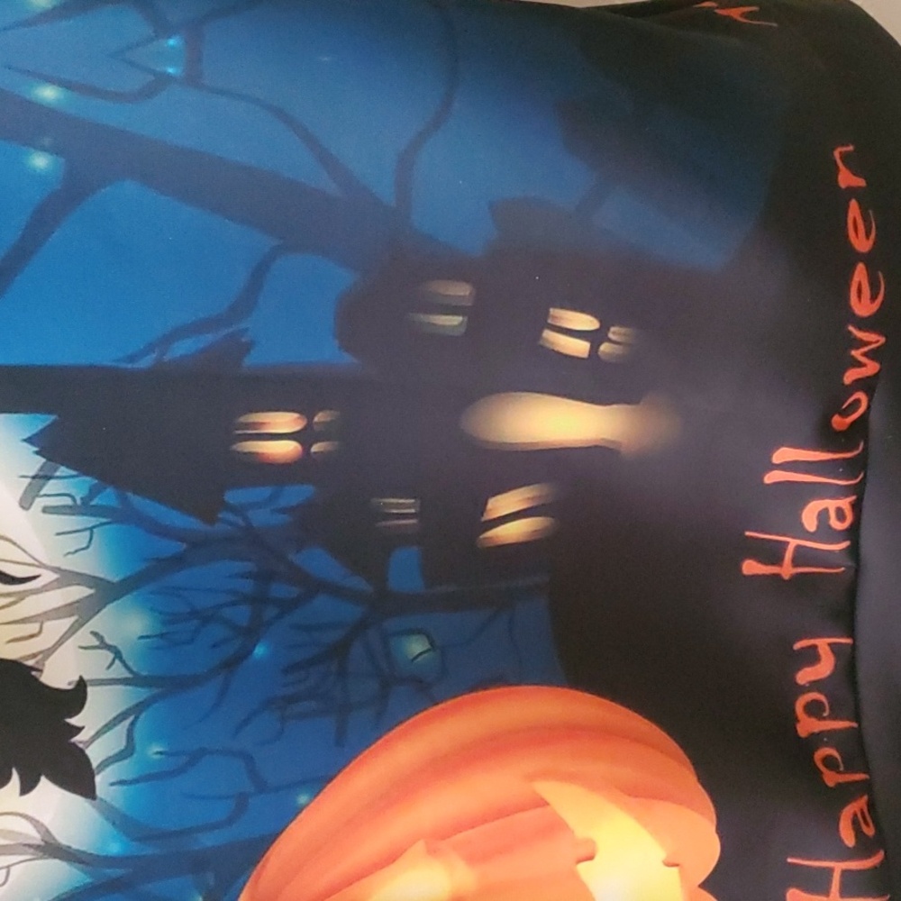 HALLOWEEN SWEATSHIRT WITH HAUNTED HOUSE NWOT - Picture 7 of 7